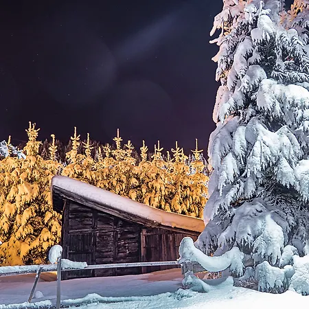 Apart-hotel Der Brueckenwirt Heinfels