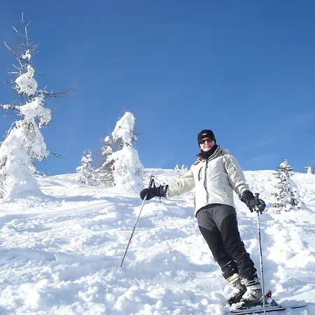 מלון דירות Der Brueckenwirt 4*