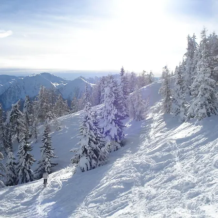 Der Brueckenwirt מלון דירות 4*