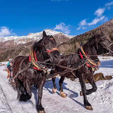 Der Brueckenwirt היינפלס