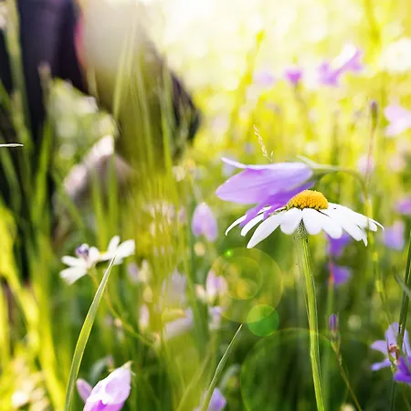 Der Brueckenwirt מלון דירות