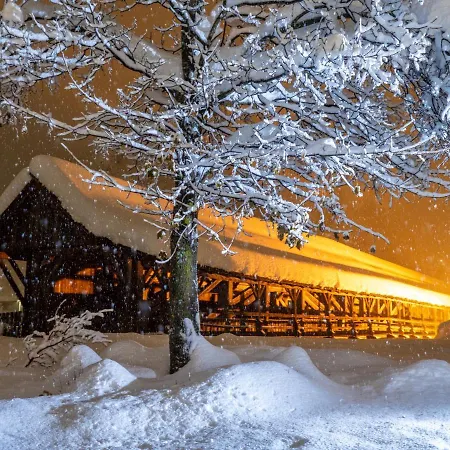 Der Brueckenwirt מלון דירות 4*