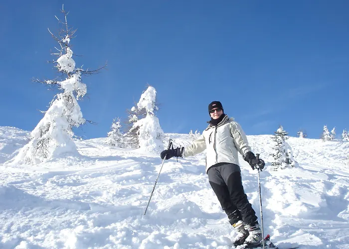 מלון דירות Der Brueckenwirt 4*