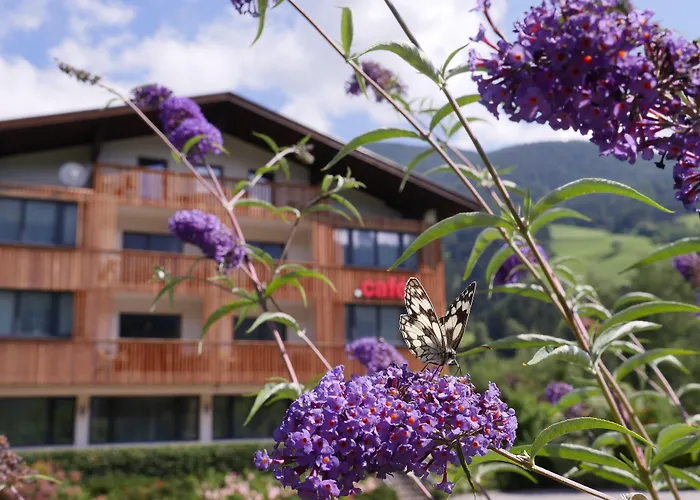 Der Brueckenwirt מלון דירות