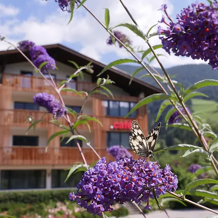 Der Brueckenwirt Hotel apartamentowy