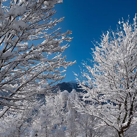 Hotel apartamentowy Der Brueckenwirt
