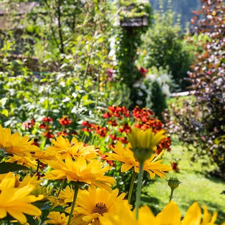 Der Brückenwirt Aparthotel 3*